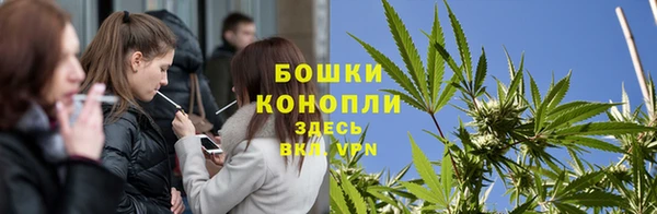крисы Слюдянка