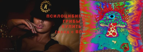 крисы Слюдянка