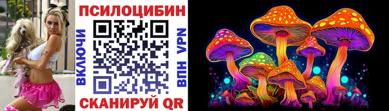 Псилоцибиновые грибы Psilocybe  Устюжна 